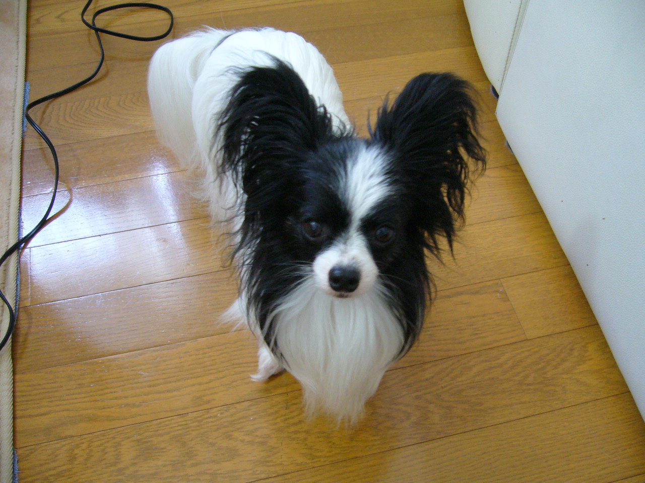 f0135021_18561415.jpg