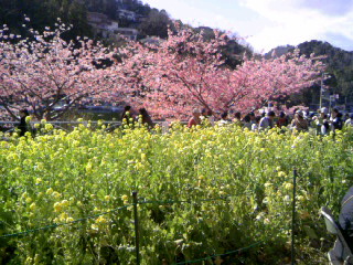 c0025033_14594513.jpg