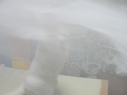 f0002833_21521188.jpg
