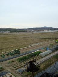 b0110035_2248914.jpg