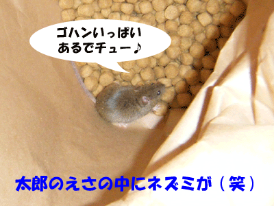 f0008935_1523623.gif
