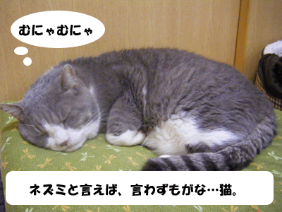 f0008935_1552397.gif