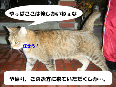f0008935_1554946.gif