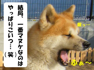 f0008935_156168.gif