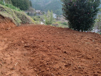 c0183137_20153569.jpg