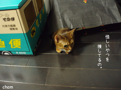 c0132438_22262836.jpg