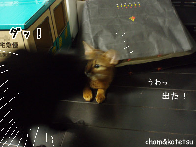 c0132438_22281418.jpg