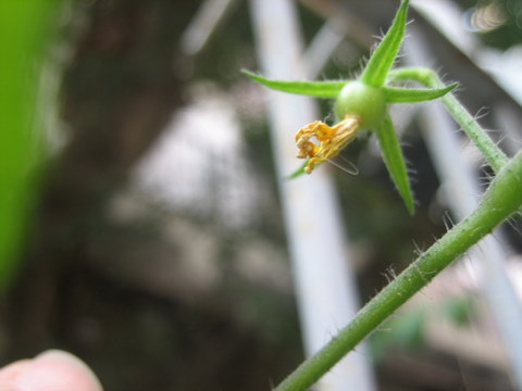 e0018143_3151472.jpg