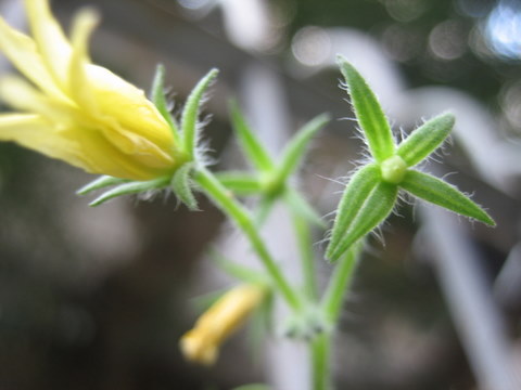 e0018143_315548.jpg