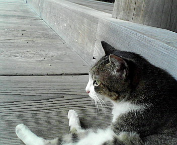 f0179947_23375085.jpg