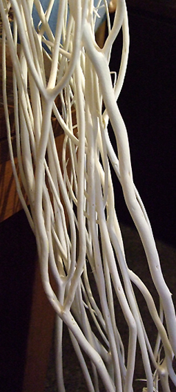 e0060452_3111961.jpg