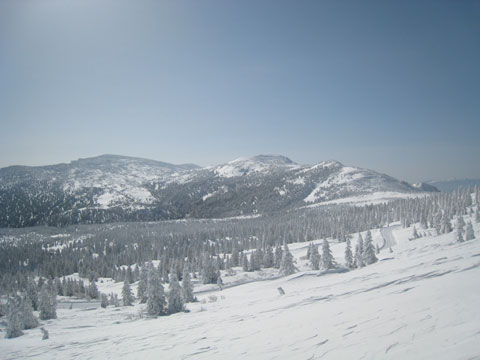 c0116856_18421354.jpg