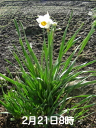 e0149157_5434471.jpg