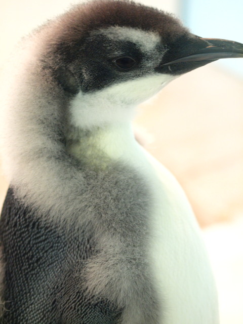 c0186760_2354635.jpg