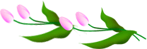 e0129862_14505441.gif