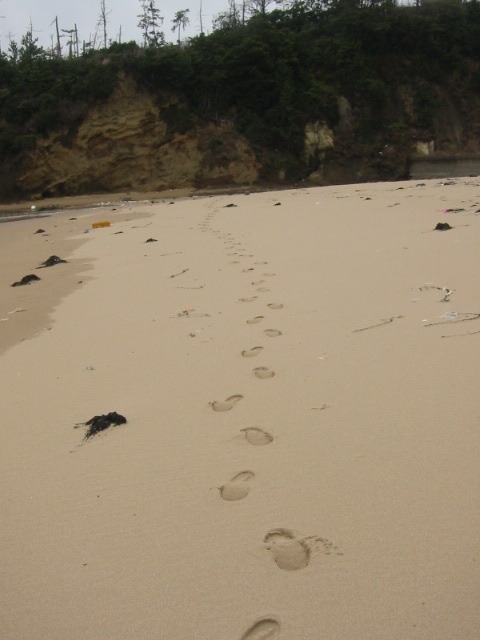 d0094868_1473531.jpg