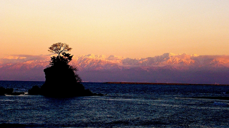 c0196076_8514260.jpg