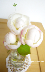 f0091282_18345875.jpg