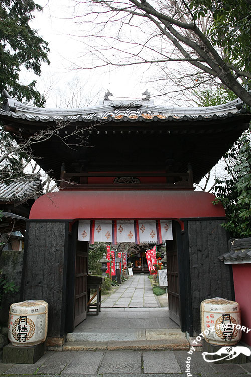 a0034287_23225160.jpg