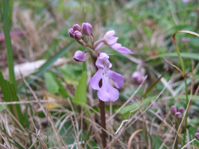 e0028387_11152635.jpg