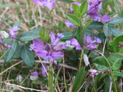 e0028387_11173458.jpg
