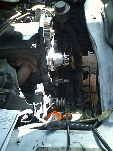 d0049290_8384464.jpg