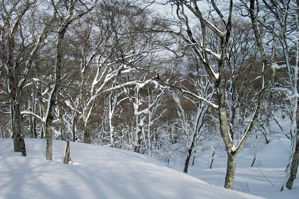 a0043193_20565683.jpg