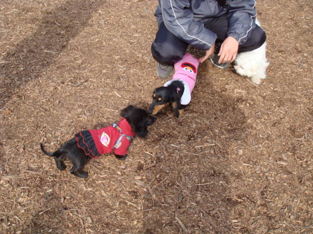d0098295_22463837.jpg