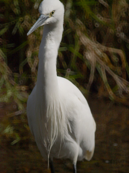 f0002801_2011092.jpg