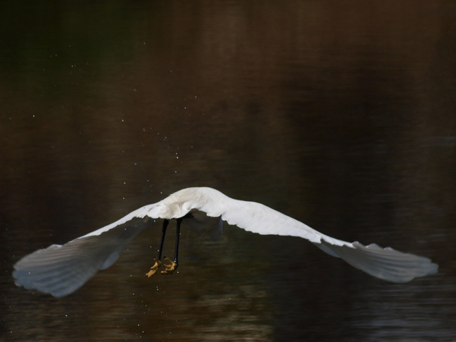 f0002801_2013383.jpg