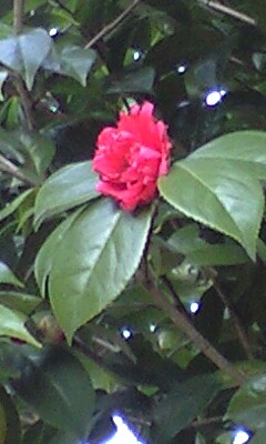 b0083902_17474640.jpg