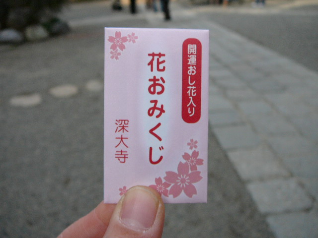 d0070702_08677.jpg