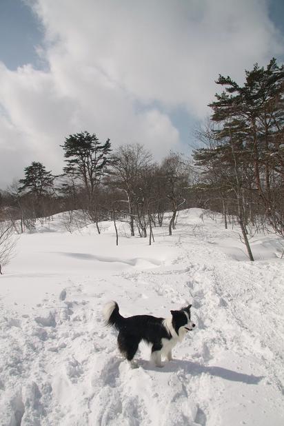 f0034602_20321372.jpg