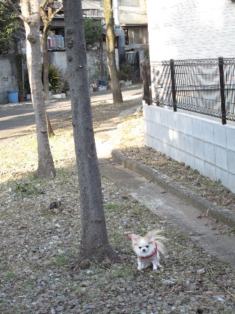 a0079803_0285285.jpg