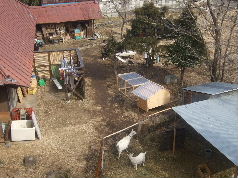 d0024504_23114355.jpg