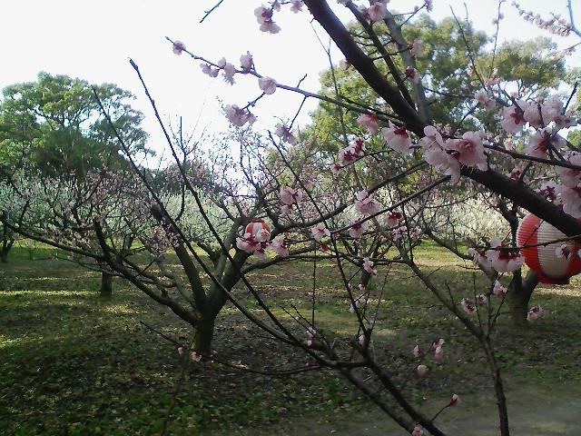 b0019909_1457631.jpg