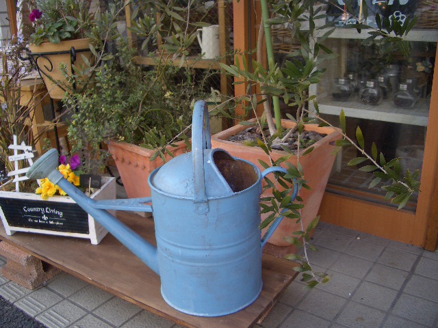 e0128909_1822654.jpg