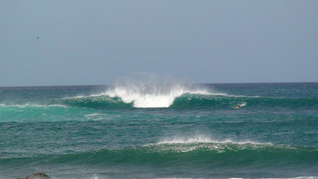 f0116314_1518669.jpg