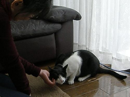 c0158916_181527.jpg