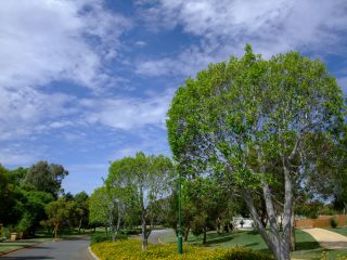 c0156217_0571135.jpg