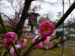 b0019820_0215330.jpg