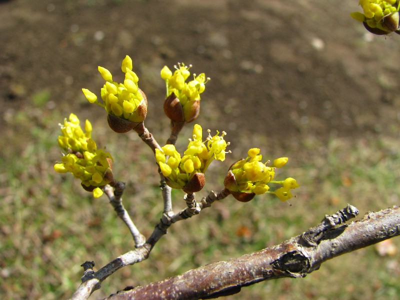 a0004023_22161217.jpg