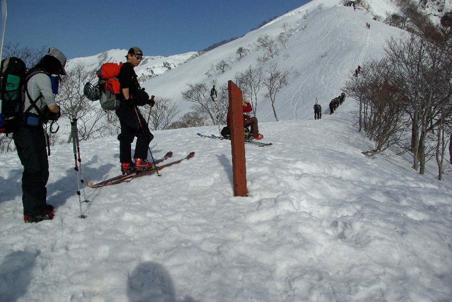 b0062024_20495230.jpg