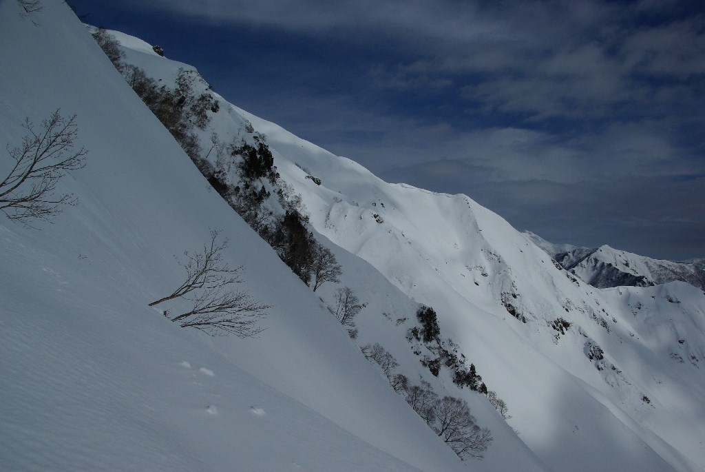 b0062024_20531956.jpg