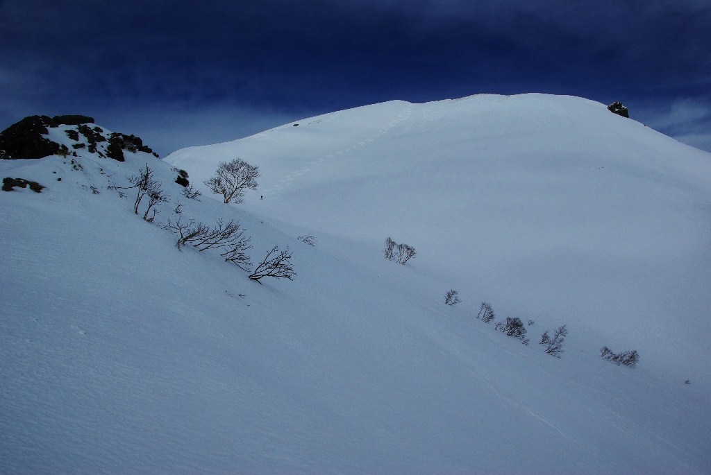 b0062024_20564739.jpg