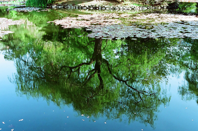 f0182924_0545649.jpg