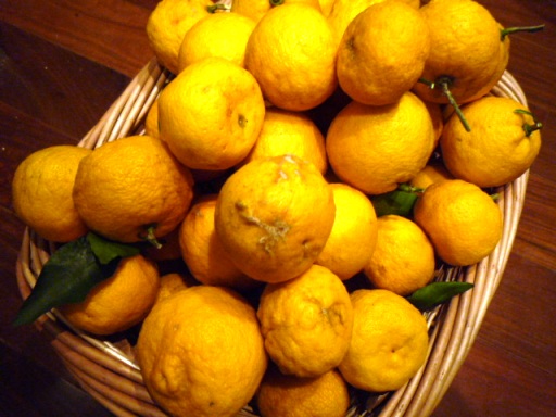 c0139527_0591488.jpg