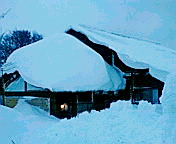 c0051529_21491826.jpg