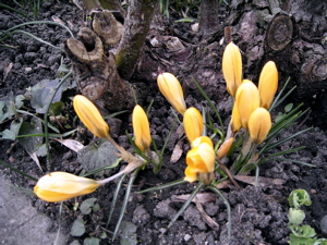 f0165831_1401188.jpg