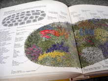 f0165831_1553615.jpg